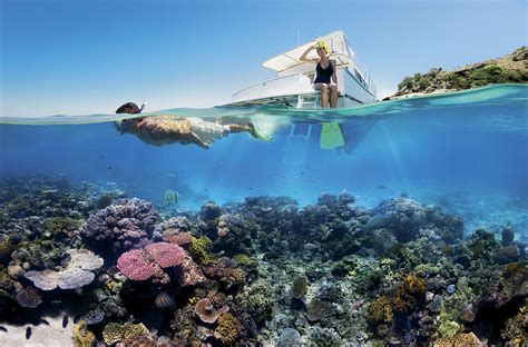 Dream Job Get Paid To Live And Work On A Tropical Island In The Great Barrier Reef Trill Mag