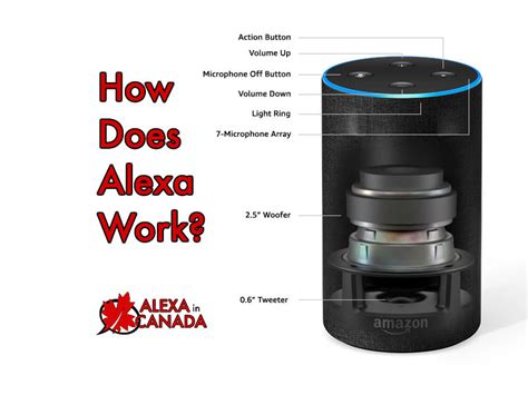 What Is Alexa And How It Works Ng