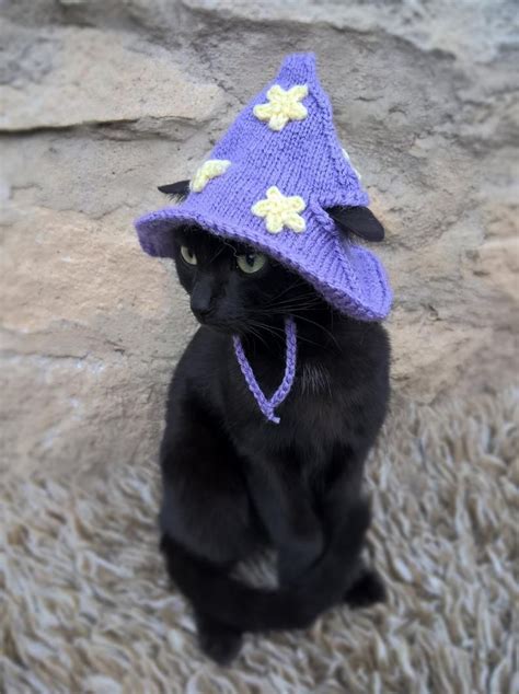 Purple Wizard Cat Hat Wizard Hat For Cat Wizard Hat For Cats Costume