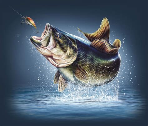 Largemouth Bass Illustration Joel Jensen Art