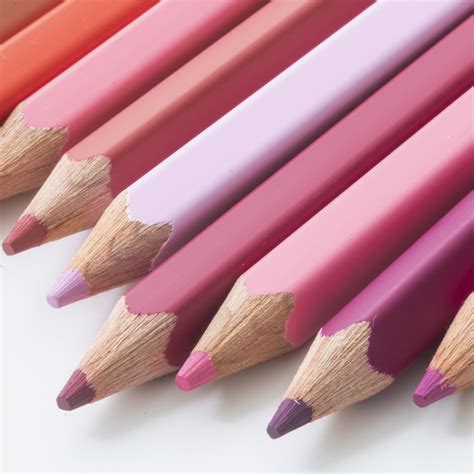 Felissimo 500 Colored Pencils Tokyo Seeds｜felissimo