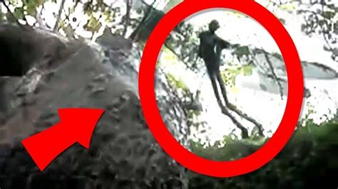 top 10 real fairies caught on tape part 2 youtube