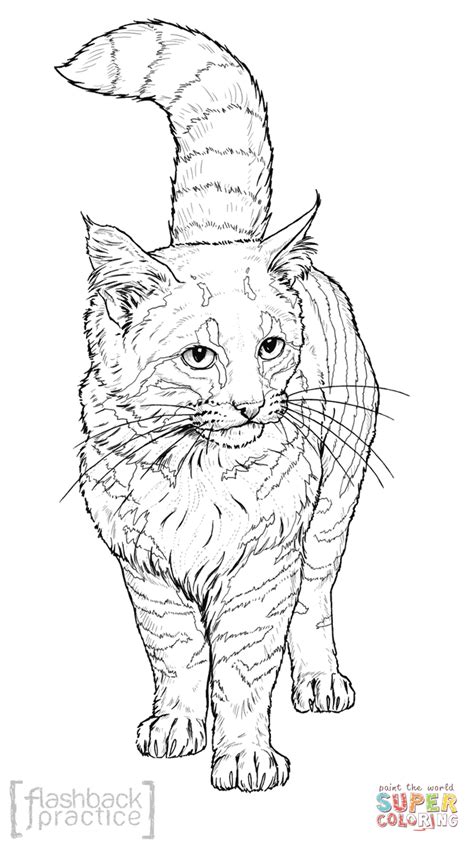 Polish your personal project or design with these splat the cat transparent png images, make it even more personalized and more attractive. Pampas Cat coloring page | Free Printable Coloring Pages