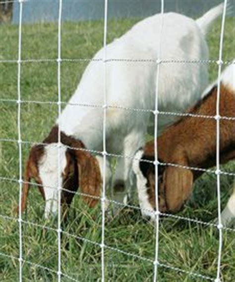 The best electric fence charge for goats and sheep is one that maintains 4000 to 5000 volts on the line. ElectroStop® Plus & ElectroStop® 10/42/12 Electric Netting ...