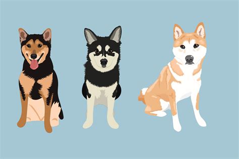 Shiba Inu Clip Art Dog Breed Editable Vector Pack Shiba Etsy