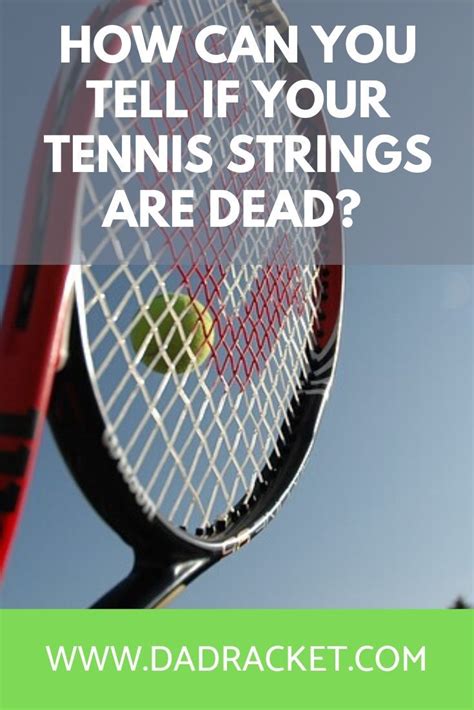 Can you tell i am addicted to succulents? How Can You Tell If Your Tennis Strings Are Dead | Tennis ...