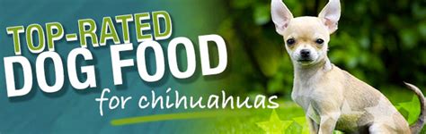 Best canned dog food for a chihuahua? What Is The Best Dog Food for a Chihuahua?