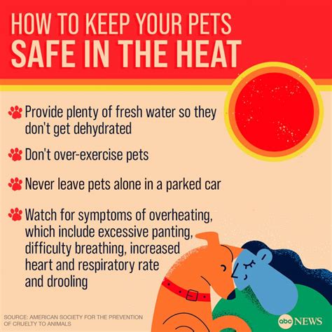 Heat Stroke Vs Heat Exhaustion Extreme Heat Safety Tips Abc News