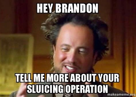 Brandon Memes