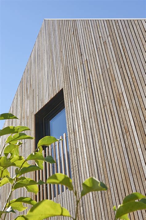 Thermowood terrassebrædder fra moelven er varmebehandlet fyrretræ fra nodisk. Cedertræ - smukt, populært og holdbart - Wood Supply DK