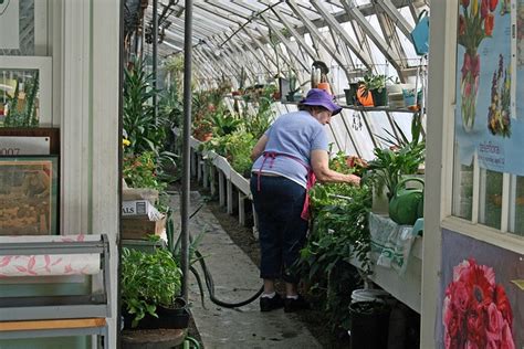 5 Reasons Why You Should Build Your Own Greenhouse Big