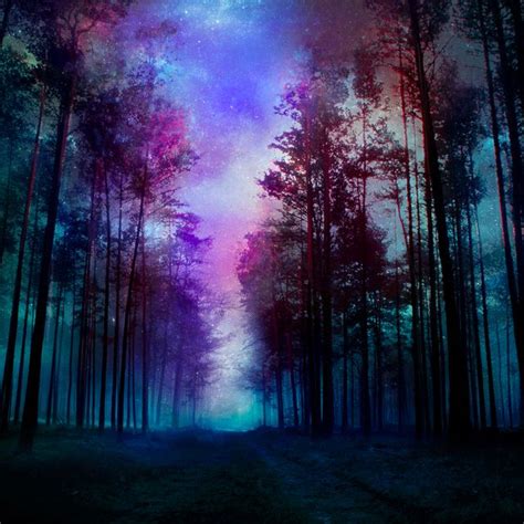 Magical Forest Night By Kokoszkaa On Deviantart All Photos