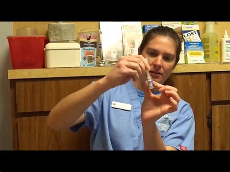 Kennel cough has a noticeably odd sound — a cough that sounds like a honk is the first sign. How-To-Give-Your-Pet-A-Intranasal-Kennel Cough-Vaccine ...