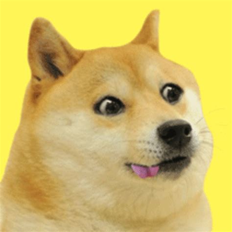 Image 720275 Doge Know Your Meme