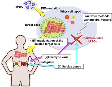 Viral Vector-Based Innovative Approaches to Directly Abolishing