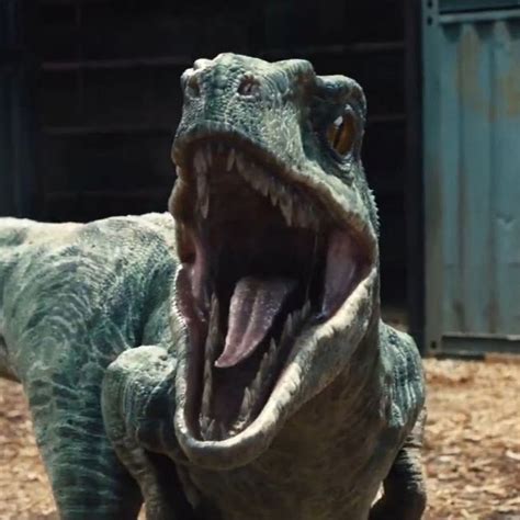 Utahraptor measured about 7 metres, and was a very powerful, agile and intelligent predator. UtahRaptor - YouTube