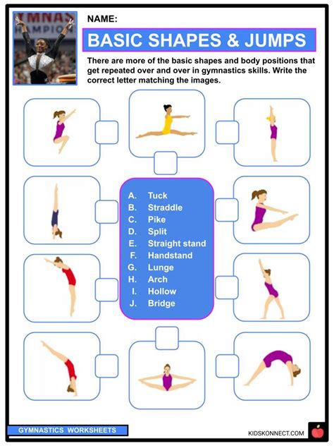 Gymnastics Facts Worksheets History And Development For Kids