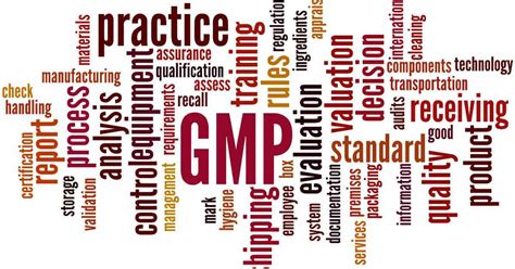 Exploring Good Manufacturing Practices Gmps Podcast