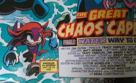 no more fucking echidnas archie sonic comics know your meme
