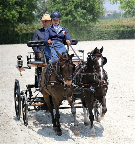 There are 4 ways to get from milan to travagliato by train, bus, taxi or car. Travagliato/BS Derby FISE - Carrozze&Cavalli