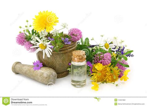 How to make flower essence oil. Mortar With Fresh Flowers And Essential Oil Stock ...