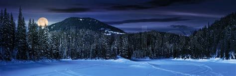 Snowy Meadow In Winter Spruce Forest At Night Stock Image Colourbox