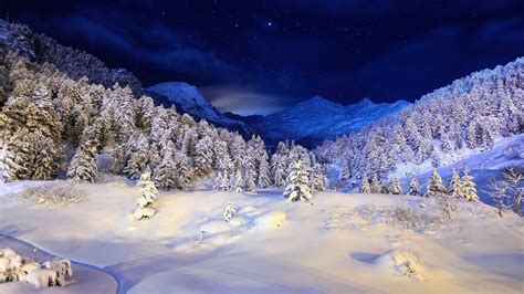 46 Winter Night Scenes