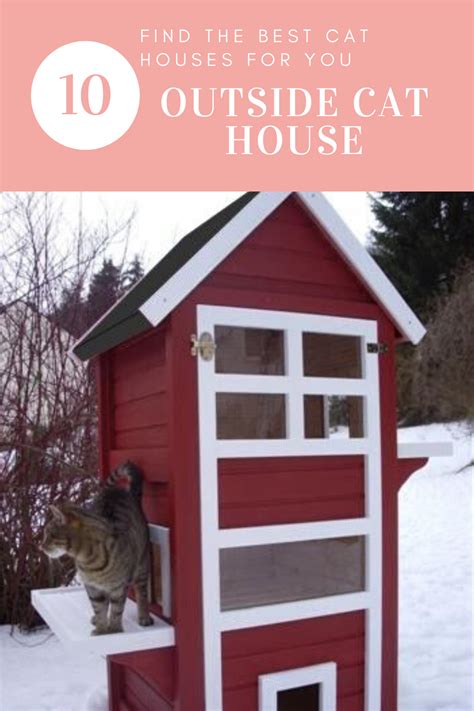 Top 10 Outside Cat House Outside Cat House Outside Cat