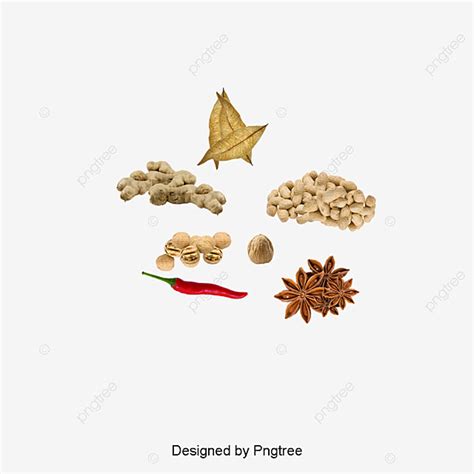 Various Png Image Various Spices Kitchen Essentials Seasoning