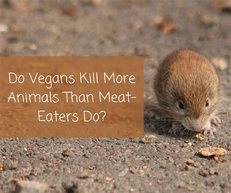 Vegans Kill Animals Too (resources) ~ Your Vegan Fallacy Is