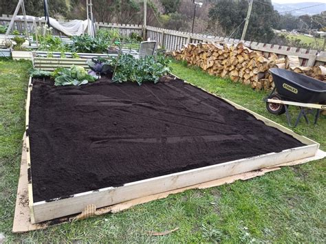 Creating A No Dig Garden Bed In Tasmania Daves Seed