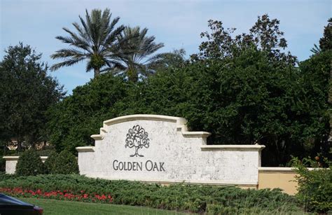 Golden Oak At Walt Disney World Wanderdisney