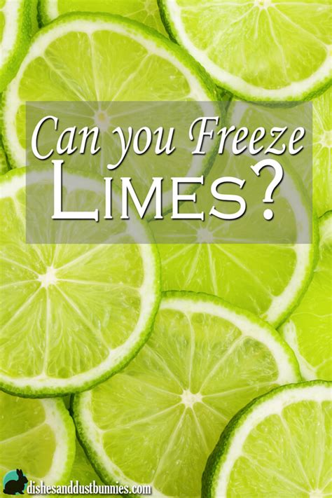 We did not find results for: Can you Freeze Limes? - Dishes & Dust Bunnies