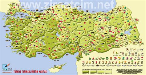 Gallen, i̇sviçre harita üzerinde, konum oberriet, koordinatlar. Türkiye'de bölgelere göre hangi tarım ürünleri yetişir?
