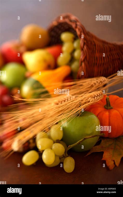 Fall Harvest Hi Res Stock Photography And Images Alamy