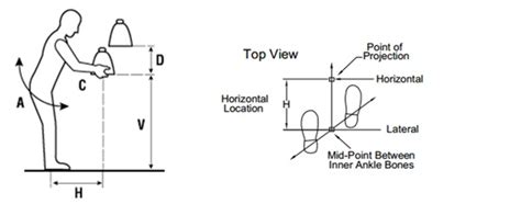 How to calculate the lift in sales from a marketing initiative? A Step-by-Step Guide to the NIOSH Lifting Equation