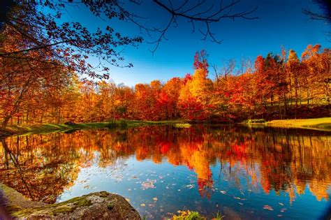 Follow These Simple Tips For Beautiful Fall Photography