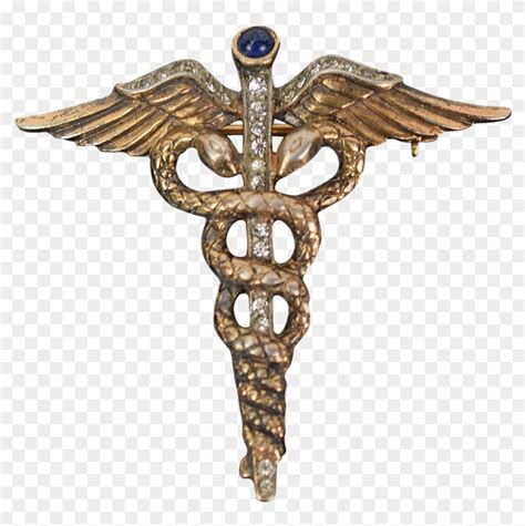 Medical Snake Symbol Design Design Talk