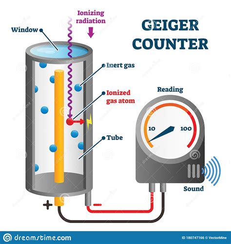 Operating at hundreds of volts between an anode and cathode samples of wheat and rye as well as beef and pork are gathered from the main production areas; Geiger Counter Vector Illustration. Ionizing Radiation ...
