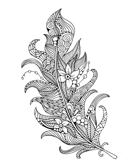 Feather Coloring Page Digital Art By Svetlana Malysheva Fine Art America