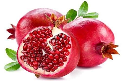 Daerah asal buah delima atau pomegranate. Manfaat Buah Delima Bagi Kecantikan Kulit
