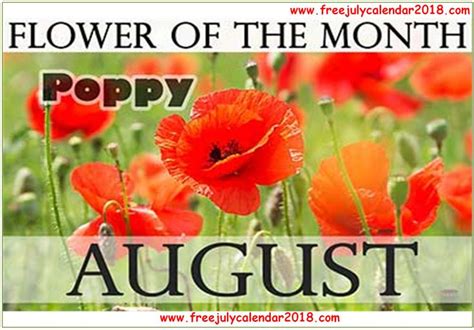 Flower For August Month August Birth Flower Birth Month Flowers