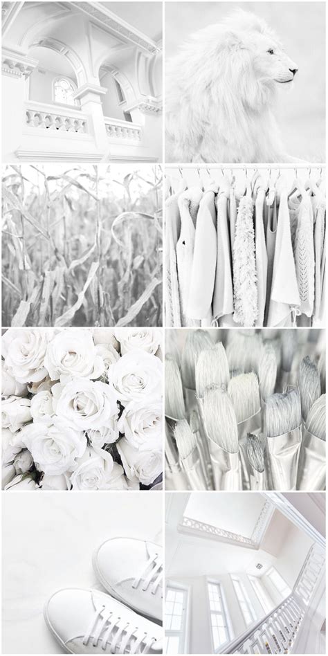 Moodboards Stimboards Aesthetics Colors White Aesthetic