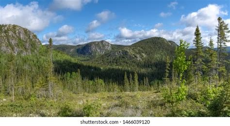 Boreal Forest Charlevoix Mountains Quebec Canada Foto De Stock