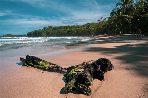 Playas De Costa Rica Disfruta De Unas Ricas Vacaciones