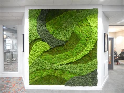 Mar 28, 2018 · 5 steps to create a diy moss wall garden. Moss Walls & Moss Art with a Wow Factor | Office Landscapes