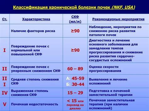 Хроническая недостаточность почек диета Хроническая почечная недостаточность. Понятие хронической болезни почек Хроническая почечная недостаточность. Понятие хронической болезни почек Хроническая недостаточность почек диета