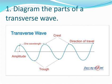 In transverse waves, the particle movement is perpendicular to the direction of wave propagation. 34 Label A Transverse Wave - Labels For You