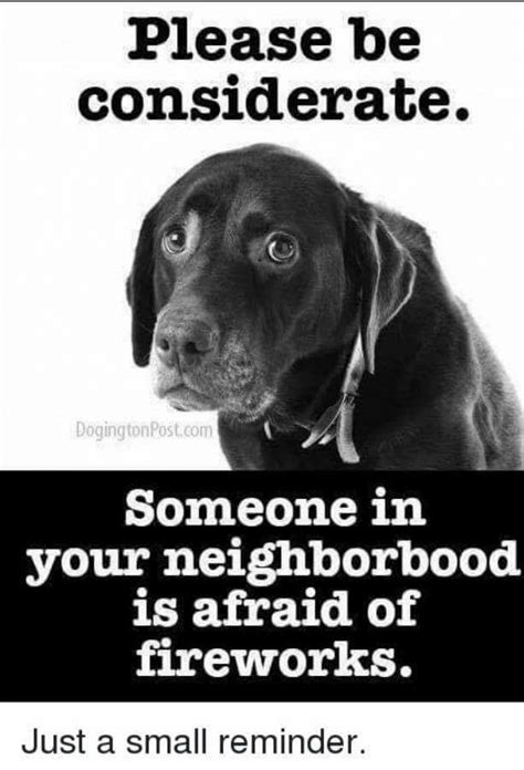 Dog training is the application of behavior analysis which uses the environmental events of antecedents (trigger for a behavior) and consequences to modify the dog behavior, either for it to assist in specific activities or undertake particular tasks. Dogs and Fireworks!!! - Dog Trainer Norfolk - Dogs In ...