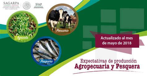 Expectativas De Producción Agropecuaria Y Pesquera 2018 Servicio De